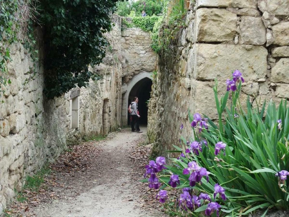 Le Petit Hureau Saumur Exterior foto